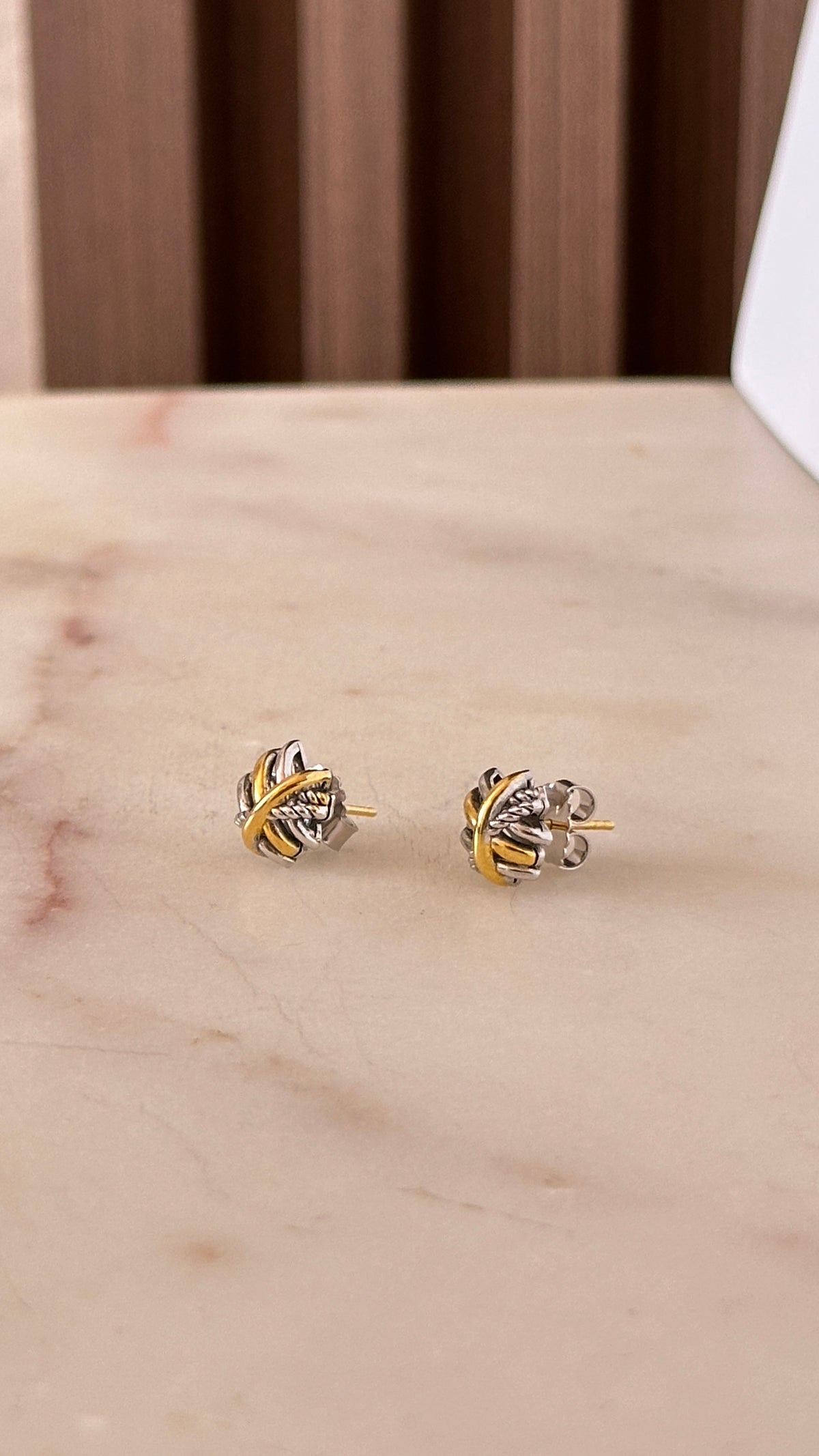 Two Tones Earrings