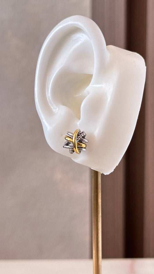 Two Tones Earrings